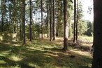 Vipassana Zentrum Triebel Vipassana Meditationszentrum